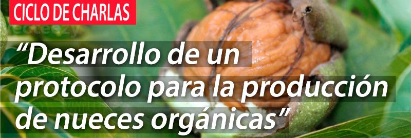 Desarrollo de un protocolo para la producción de nogal orgánico