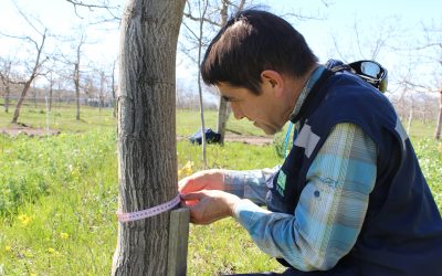 Cubiertas vegetales: Investigación con foco en la sustentabilidad