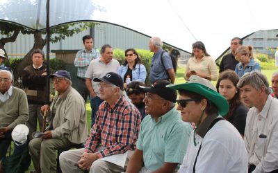 Proyecto con sello orgánico entrega los primeros frutos