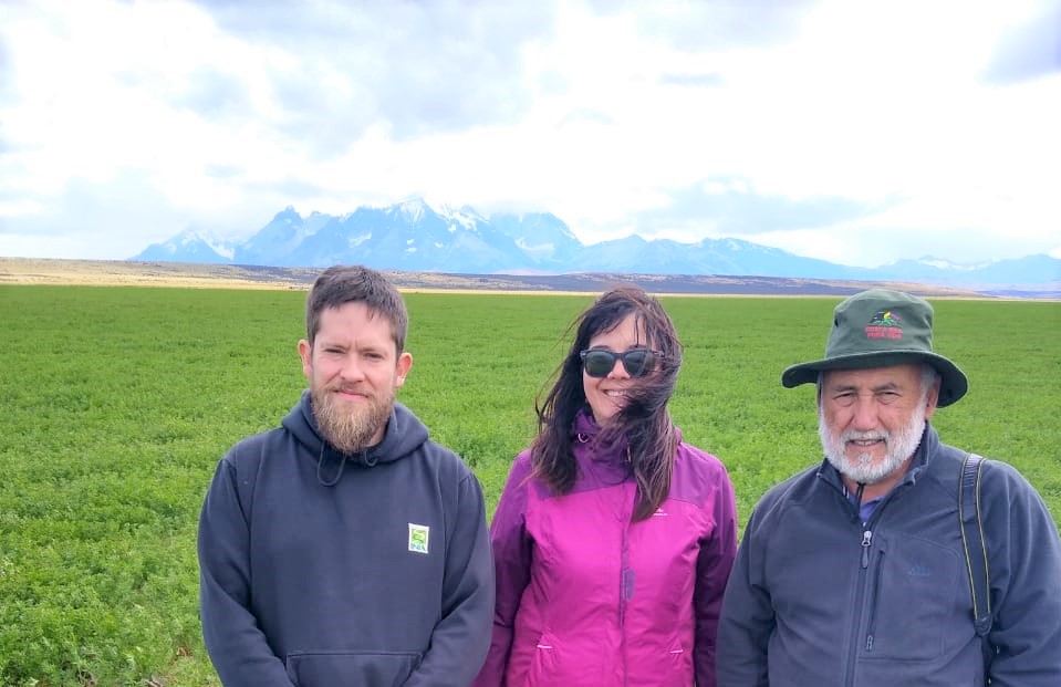 INIA La Cruz dirige investigación de alfalfa en La Patagonia