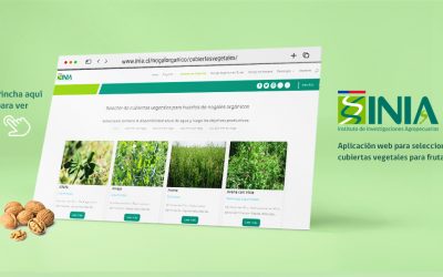 Nueva plataforma permite seleccionar la mejor cubierta vegetal para el cultivo de frutales