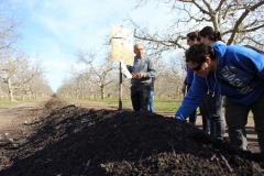 Compost-cob