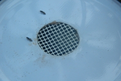 DSCN1112-1