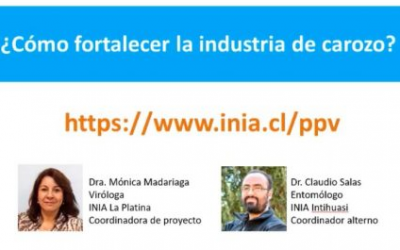 Ciclo de seminarios en línea de enfermedades