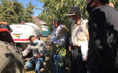 Día de Campo Putaendo – Marzo 2021