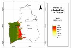 Adaptabilidad-Cebolla