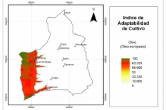 Adaptabilidad-Olivo