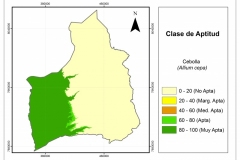 AptitudCebolla