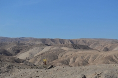 DSC_0017