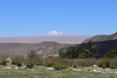 DSC_0181