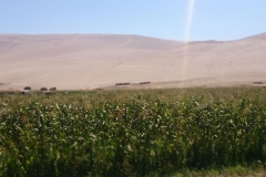 lluta